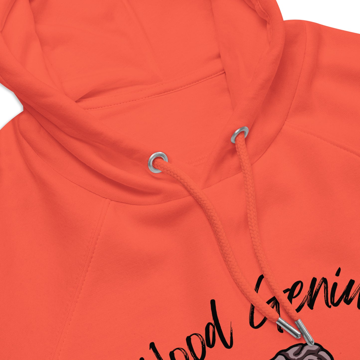 Hood Genius - Big Brain Unisex eco raglan hoodie